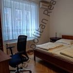 Rent 2 bedroom apartment of 56 m² in Jáchymov