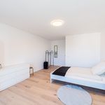 Miete 1 Schlafzimmer wohnung von 18 m² in Nürnberg