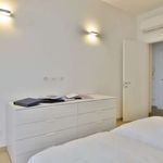 Affitto 1 camera appartamento di 50 m² in Bologna
