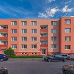 Rent 3 bedroom apartment of 73 m² in Břeclav