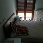 Rent 1 bedroom apartment of 28 m² in Forlì