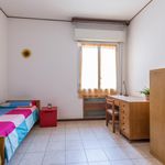 Rent 4 bedroom apartment in Bologna