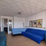 Rent 4 bedroom apartment in Castellón de la Plana