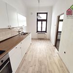 Rent 3 bedroom apartment of 64 m² in Litoměřice