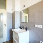 Rent 4 bedroom apartment in Modena