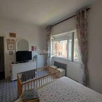 Rent 2 bedroom apartment of 45 m² in Ladispoli