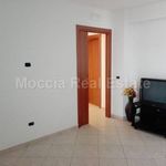 Affitto 2 camera appartamento di 55 m² in Caserta