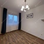 Rent 2 bedroom apartment of 49 m² in Budapest