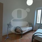 Affitto 1 camera appartamento di 60 m² in Nettuno