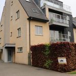 Rent 2 bedroom apartment in Laarne