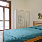 Rent 1 bedroom apartment of 20 m² in Campi Bisenzio