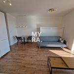 Rent 1 bedroom apartment of 37 m² in Košice