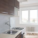 Rent 1 bedroom apartment of 36 m² in Karvina