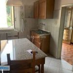Rent 1 bedroom apartment of 100 m² in Siena
