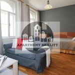 Rent 1 bedroom apartment of 35 m² in Sázavka