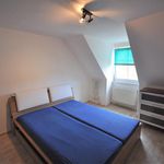 Rent 2 bedroom apartment of 58 m² in Bad Muskau