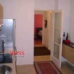 Rent 3 bedroom apartment of 60 m² in Rijeka