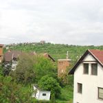 Rent 4 bedroom apartment of 148 m² in Budapest