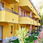 Rent 1 bedroom apartment of 42 m² in Monza