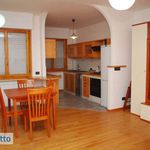 Rent 3 bedroom apartment of 70 m² in Roma