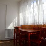Rent 1 bedroom apartment of 43 m² in Mladá Boleslav