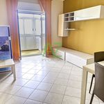 Affitto 2 camera appartamento di 30 m² in Cremona