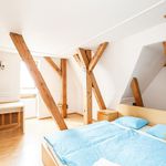 Rent 1 bedroom apartment of 219 m² in Praha