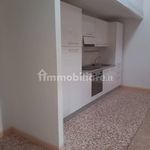 Rent 3 bedroom apartment of 85 m² in Imola