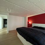 Huur 2 slaapkamer appartement in Oudenaarde