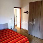 Rent 3 bedroom apartment of 60 m² in Senigallia