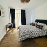 Rent 1 bedroom apartment in Adeje