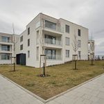Rent 1 bedroom apartment of 40 m² in Olomouc