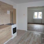 Rent 1 bedroom apartment in Bílina