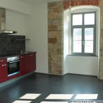 Rent 1 bedroom apartment of 34 m² in Dresden