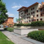 Rent 4 bedroom apartment of 40 m² in Milano