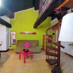 Rent 1 bedroom apartment of 45 m² in Cernusco sul Naviglio