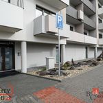 Rent 1 bedroom apartment in Žďár nad Sázavou