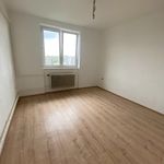 Rent 3 bedroom apartment in Bruntál