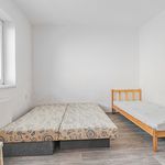 Pronajměte si 1 ložnic/e dům o rozloze 165 m² v Město Touškov