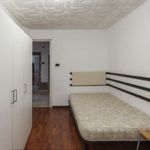 Rent a room of 100 m² in Bologna