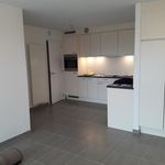 Rent 1 bedroom apartment in Denderleeuw