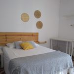 Rent 5 bedroom apartment in Barcelona