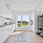 Rent 2 bedroom house of 74 m² in Silkeborg