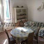 Rent 1 bedroom apartment of 45 m² in Livorno