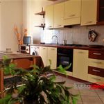 Rent 2 bedroom house of 80 m² in Scicli