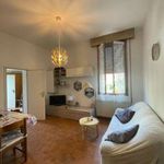 Rent 5 bedroom house of 190 m² in Bologna
