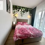 Wynajmij 2 sypialnię apartament z 43 m² w Kraków
