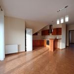 Rent 4 bedroom apartment of 100 m² in Szczecin