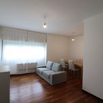 Rent 2 bedroom apartment of 77 m² in Padua