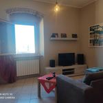 Affitto 1 camera appartamento di 60 m² in Livorno